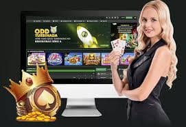 hibajigame